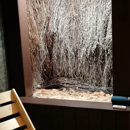 Luna Apartzakop Lejlighed