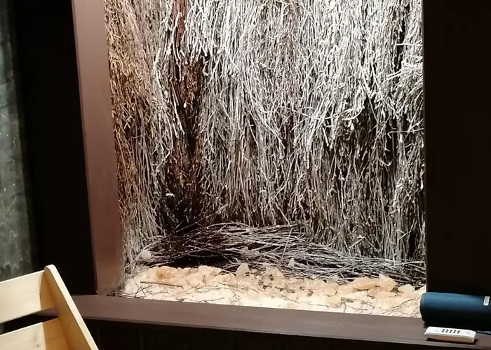 Luna Apartzakop 公寓